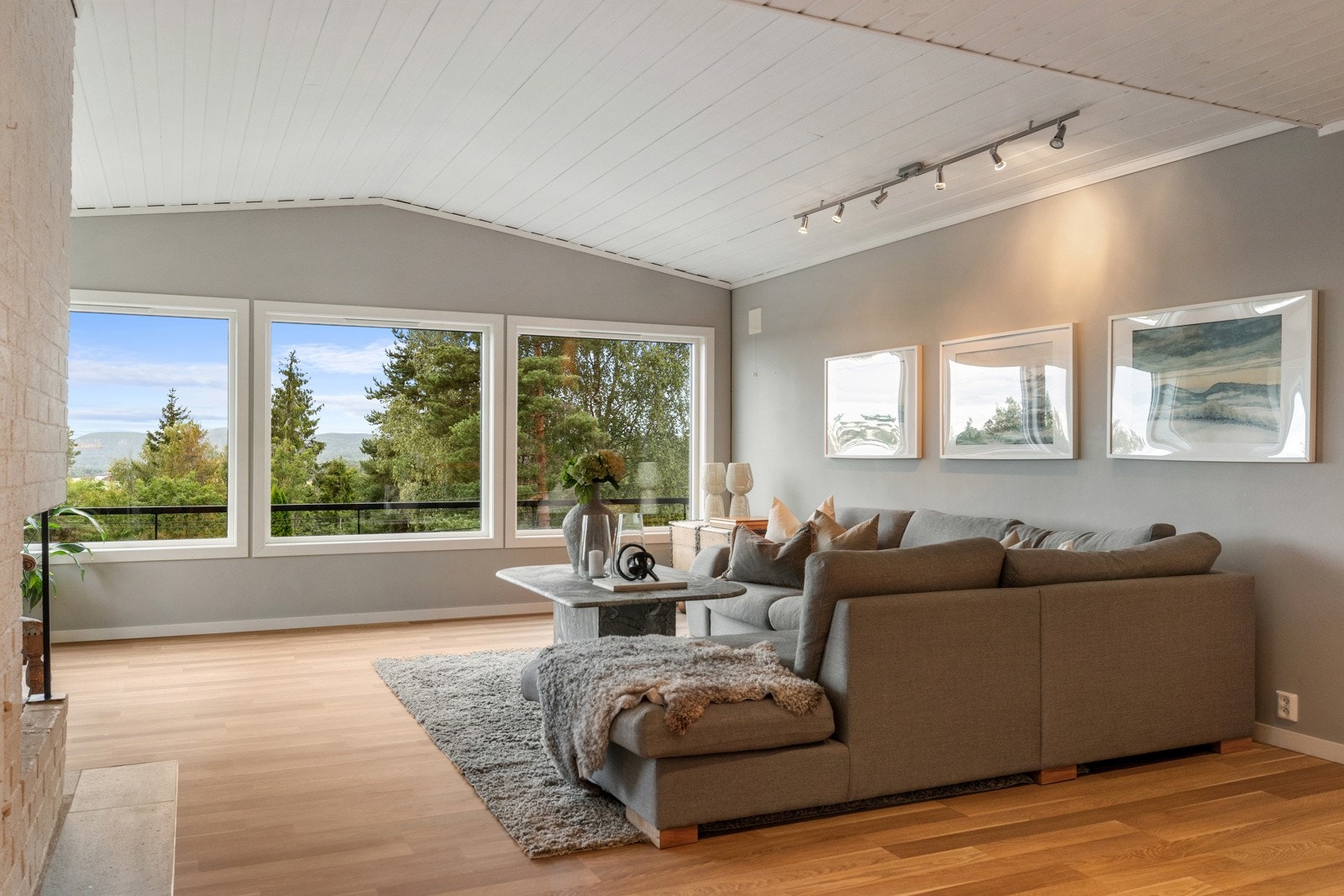 Huset har en stor stue Galleribilde