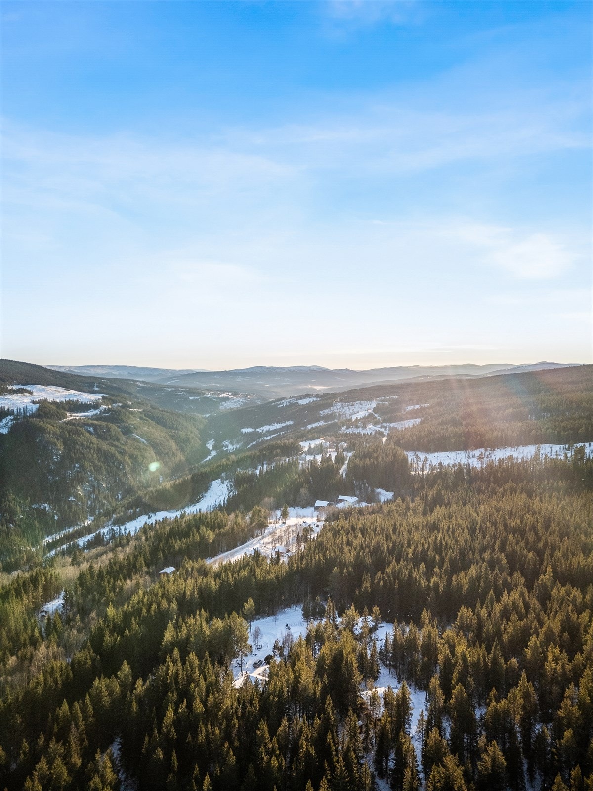Velkommen til en trivelig visning! Galleribilde