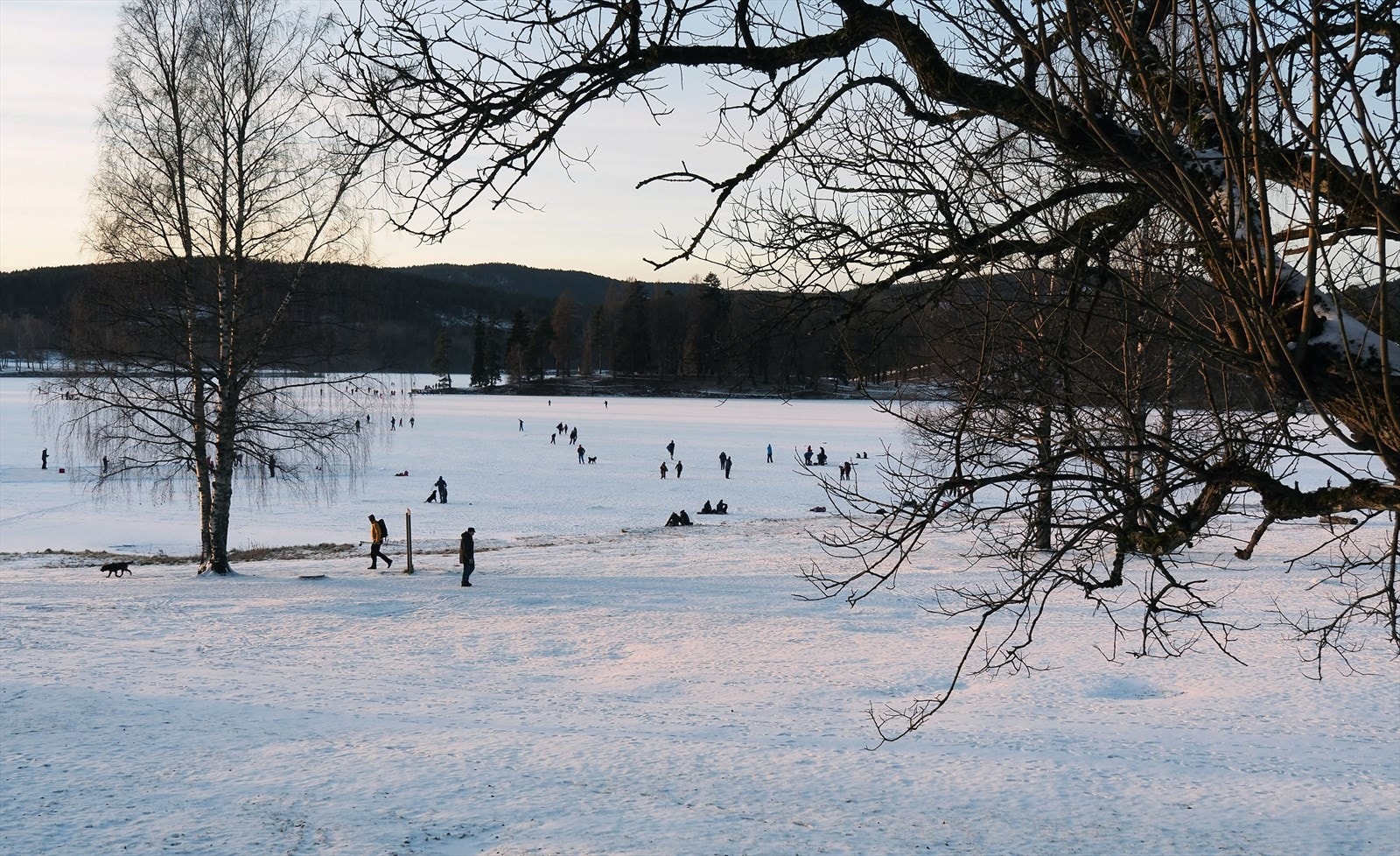 Ved Bogstadvannet kan man bade på sommeren og gå på skøyter om vinteren Galleribilde