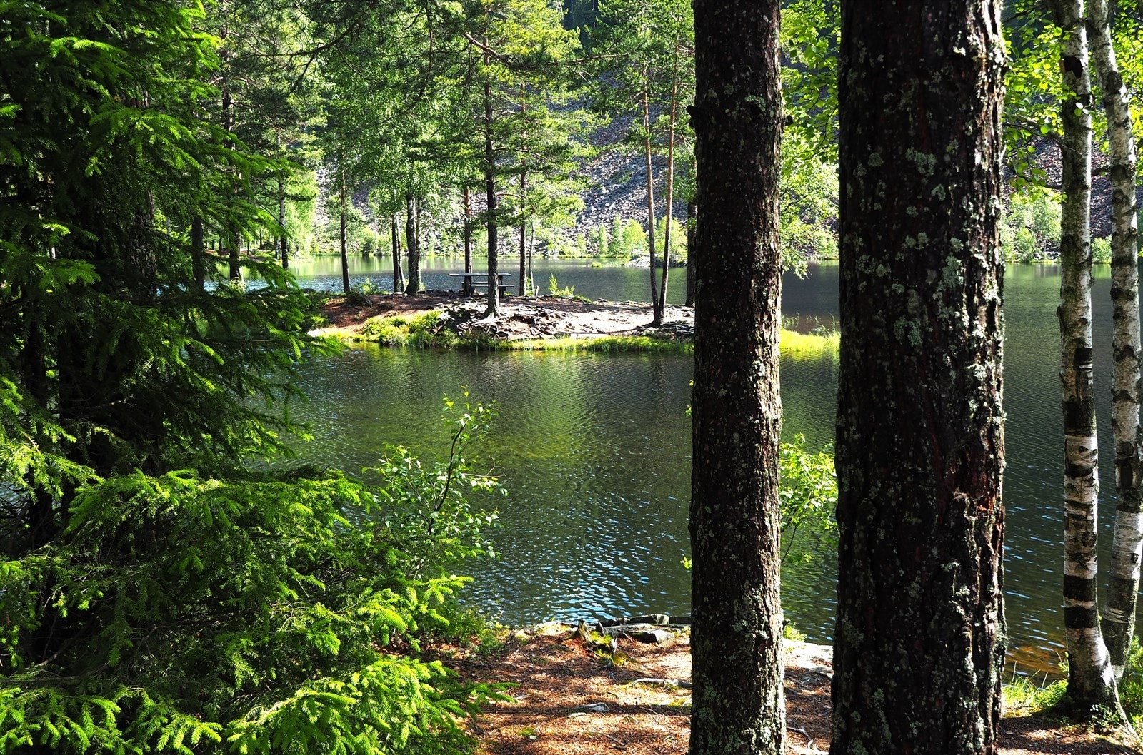 Strømsdammen, en tilrettelagt badeplass, ligger ikke langt unna boligen og er koblet på resten av "veinetten" i Nordmarka med grusvei både til Bogstadvannet og Tryvann. Galleribilde