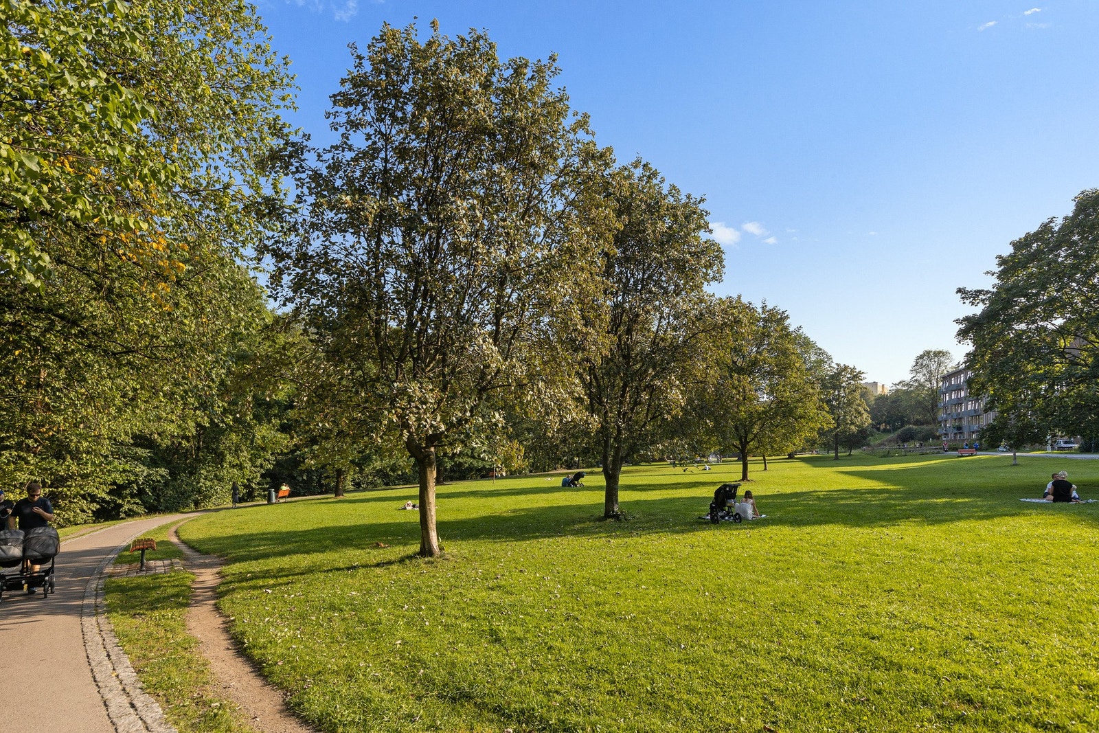 Nærområdet - Sagene Galleribilde