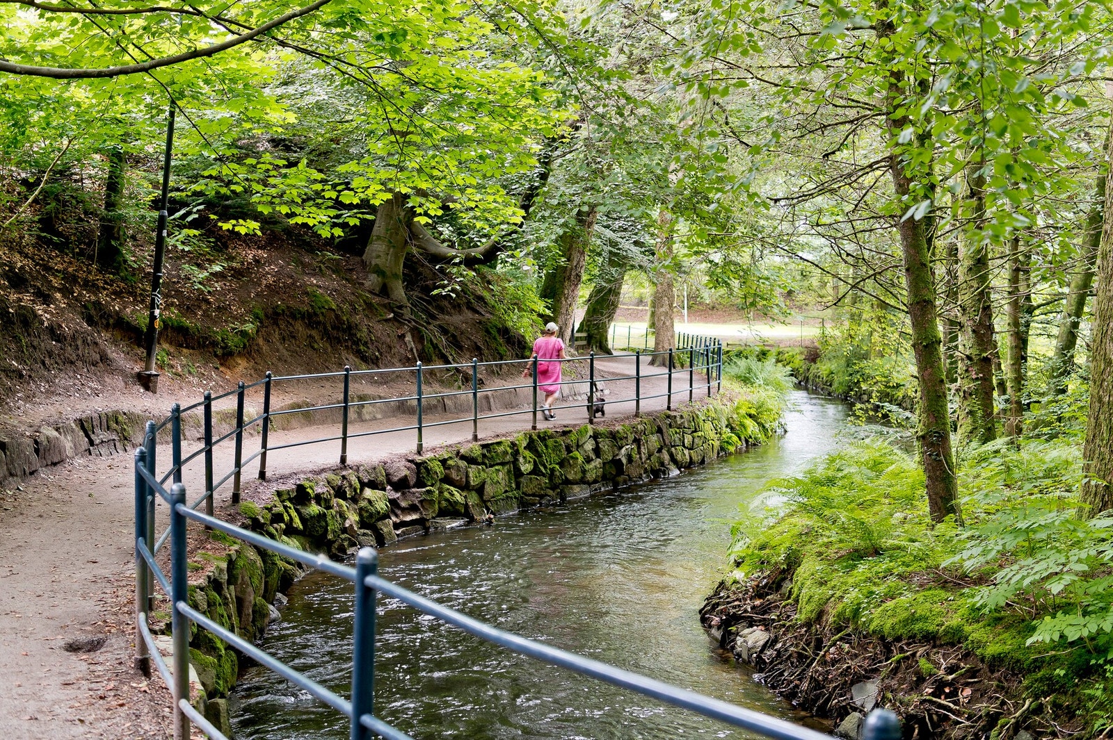 Nærområdet. Galleribilde