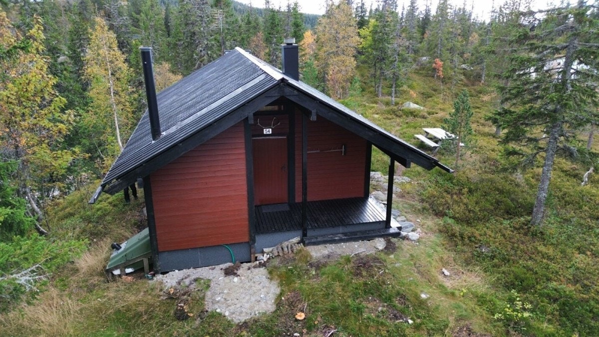 Selgers egne bilder fra sommerhalvåret Galleribilde