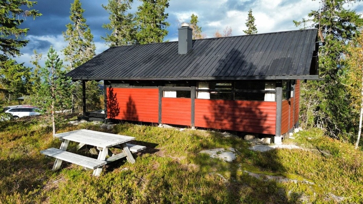 Selgers egne bilder fra sommerhalvåret Galleribilde