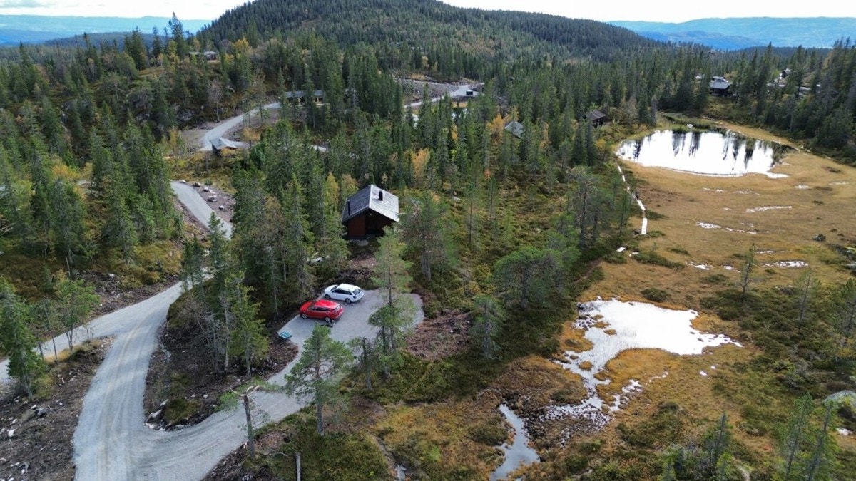 Selgers egne bilder fra sommerhalvåret Galleribilde