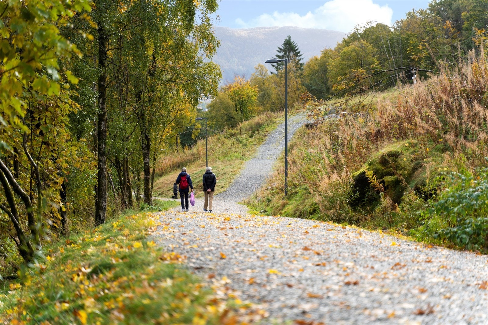 Løvstien strekker seg helt fra Krambua på Fjøsanger til Melkeplassen på Laksevåg og er svært populær blant turgåere. Galleribilde