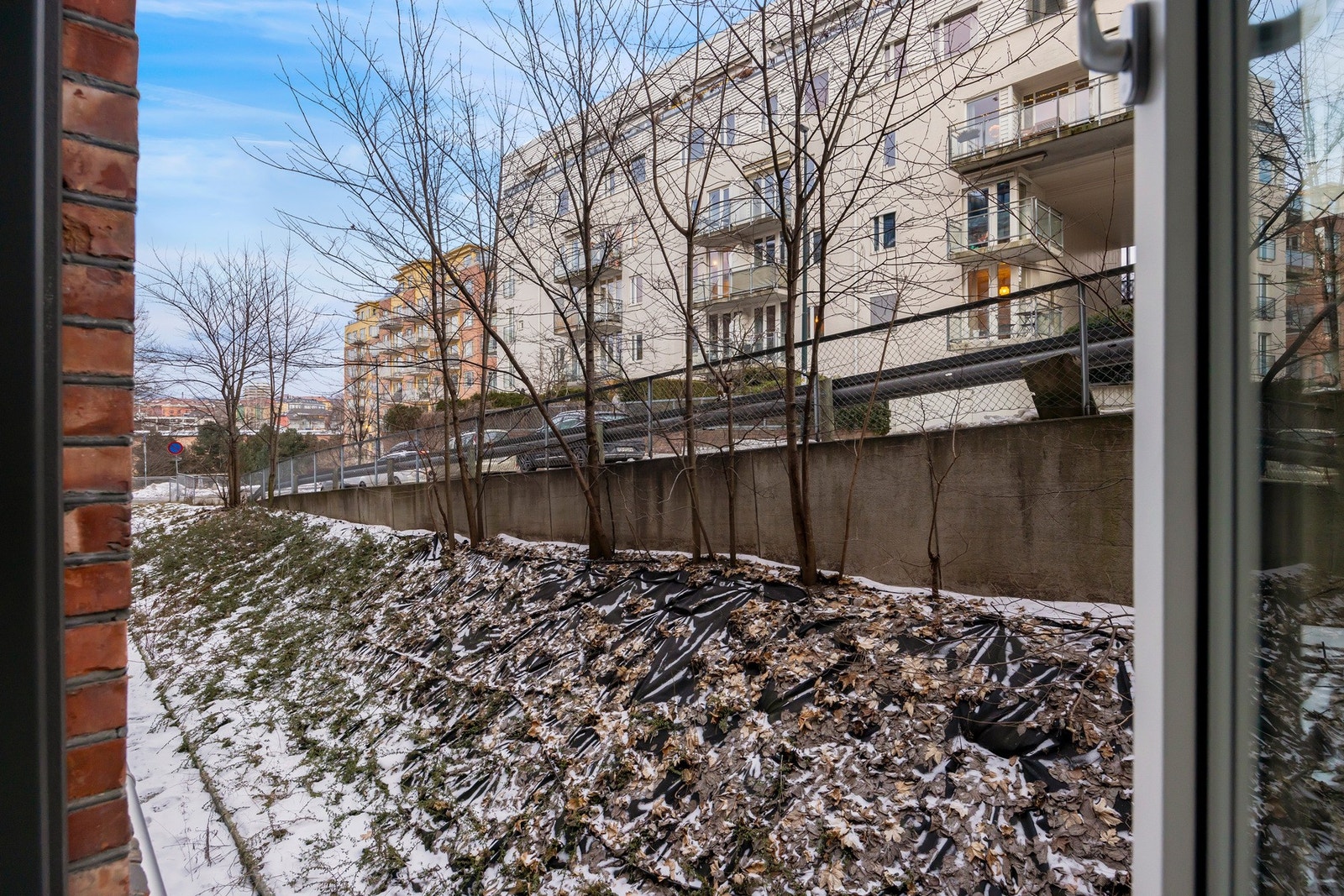 Utsikten fra soveommet. Galleribilde