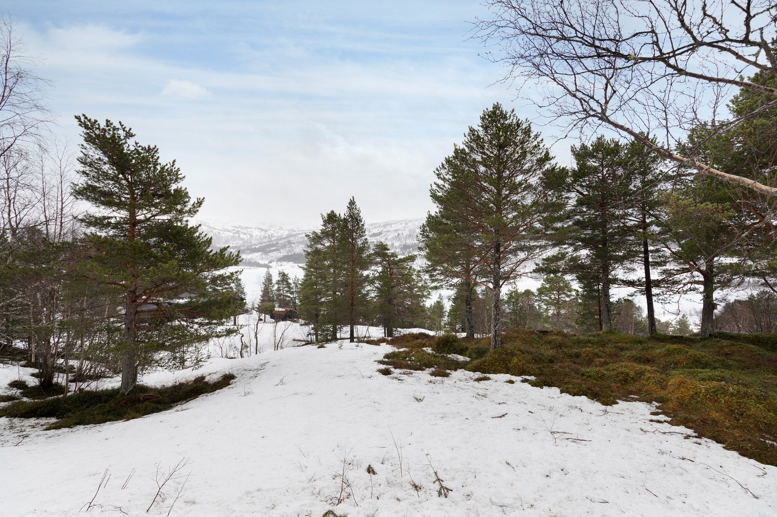 Utsiktsbilde Galleribilde