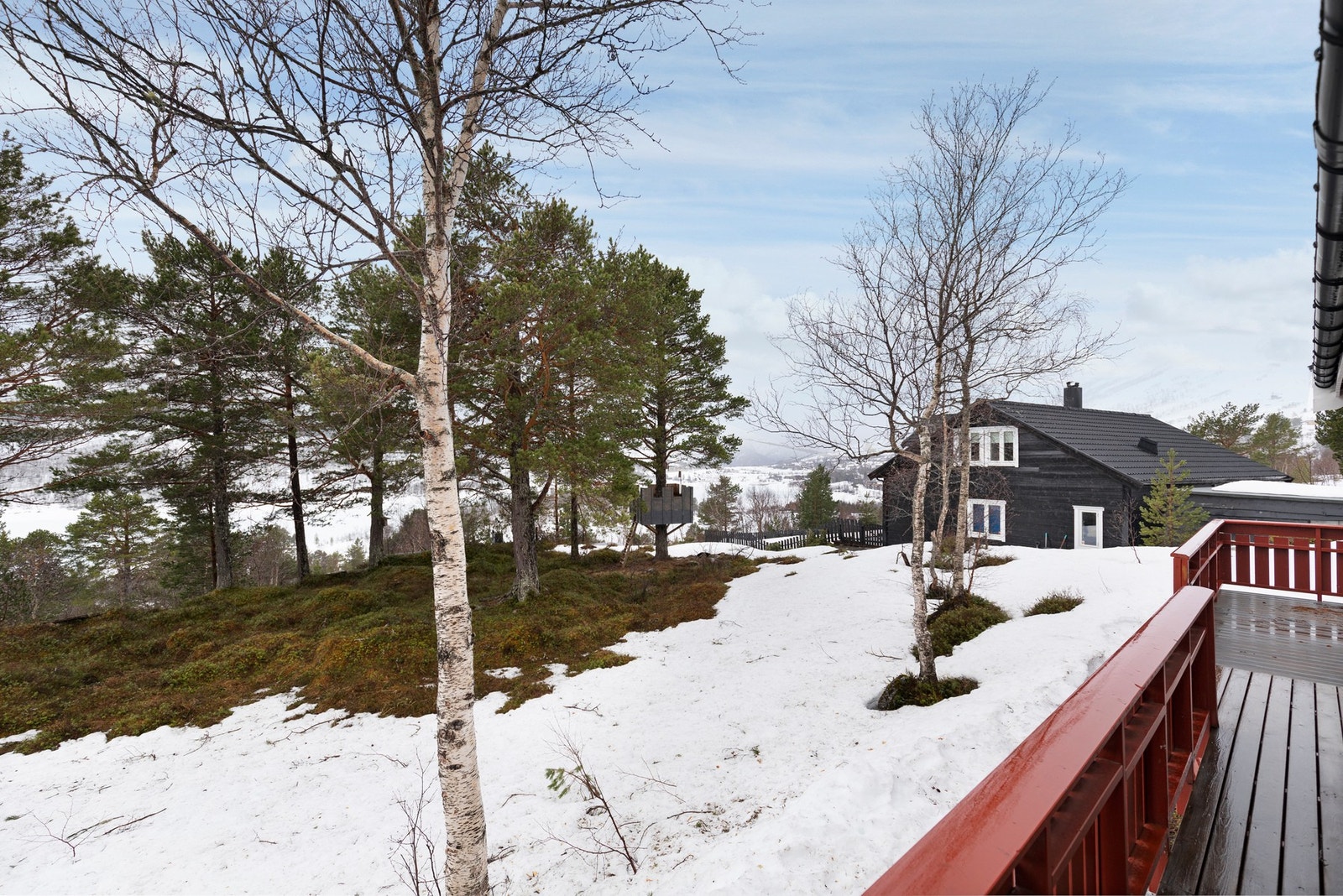 Utsiktsbilde Galleribilde