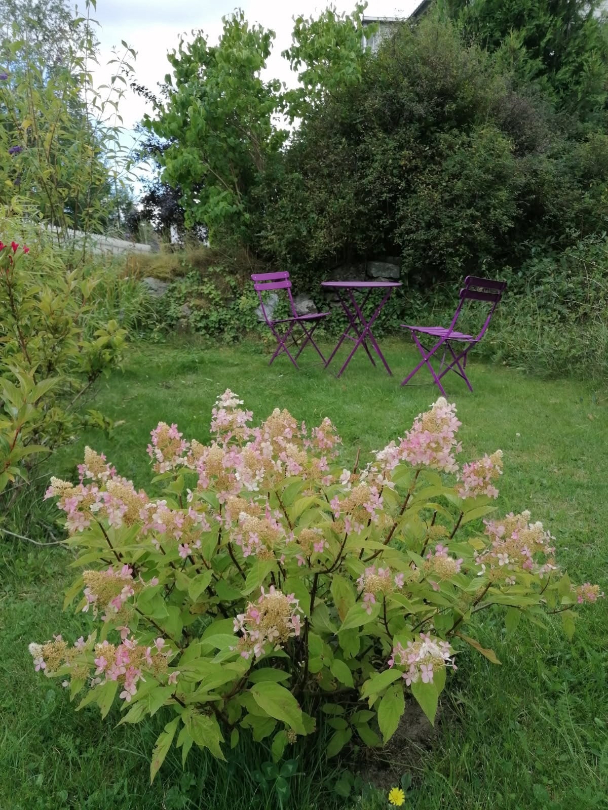 Den disponible hagen gir en fin forlengelse av boligen i sommerhalvåret, med rom for både sittegruppe og beplantning. (Selgers bilde) Galleribilde