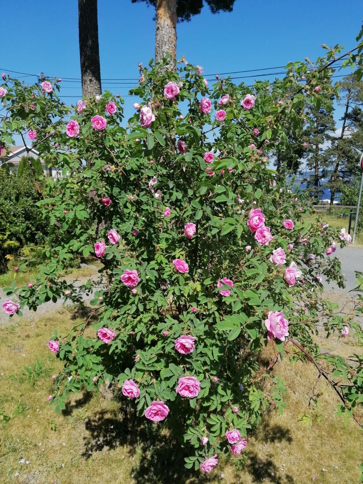 En fin forlengelse av stuen i sommermånedene. (Selgers bilde) Galleribilde