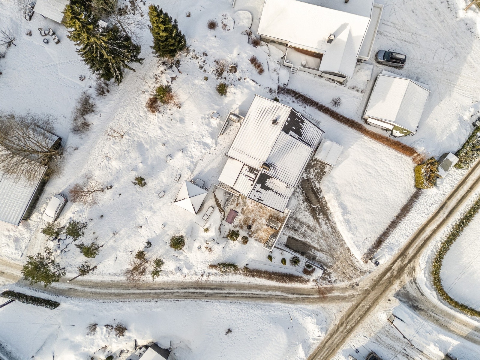 Tomten. Galleribilde