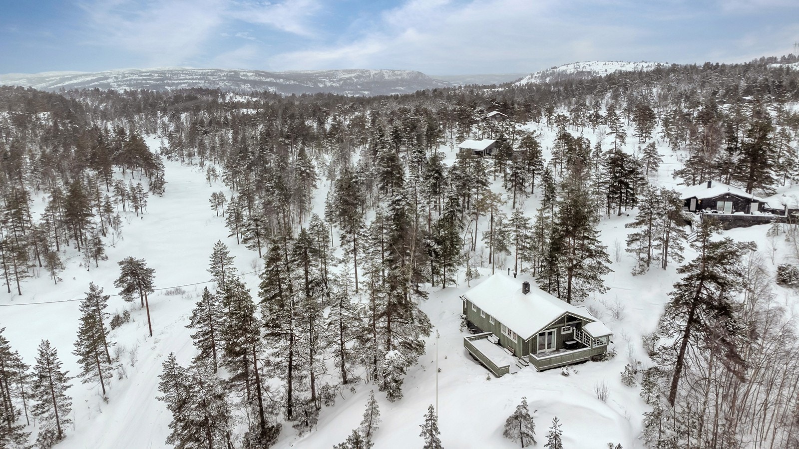 Velkommen til visning! Galleribilde