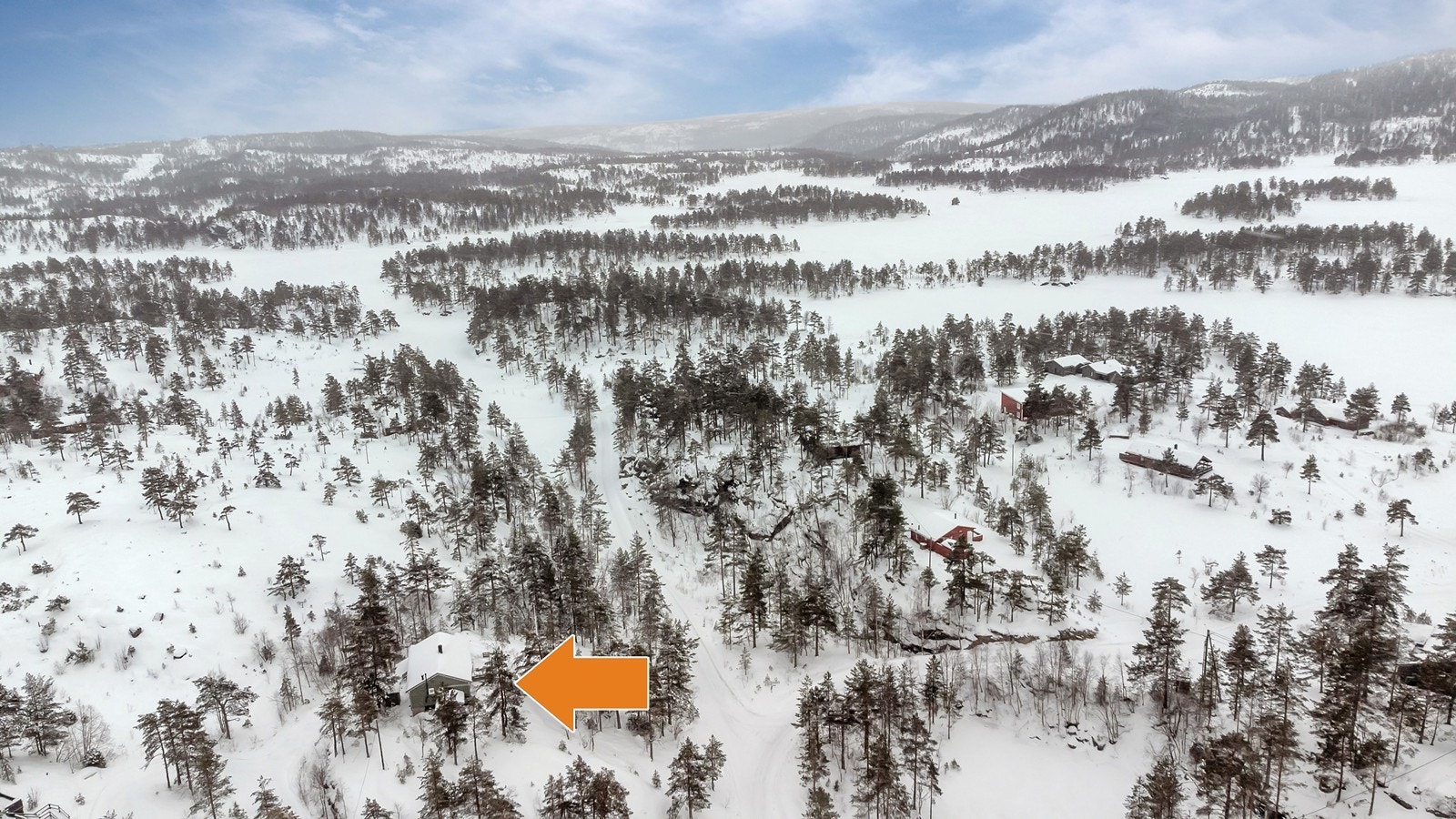 Området rundt. Galleribilde