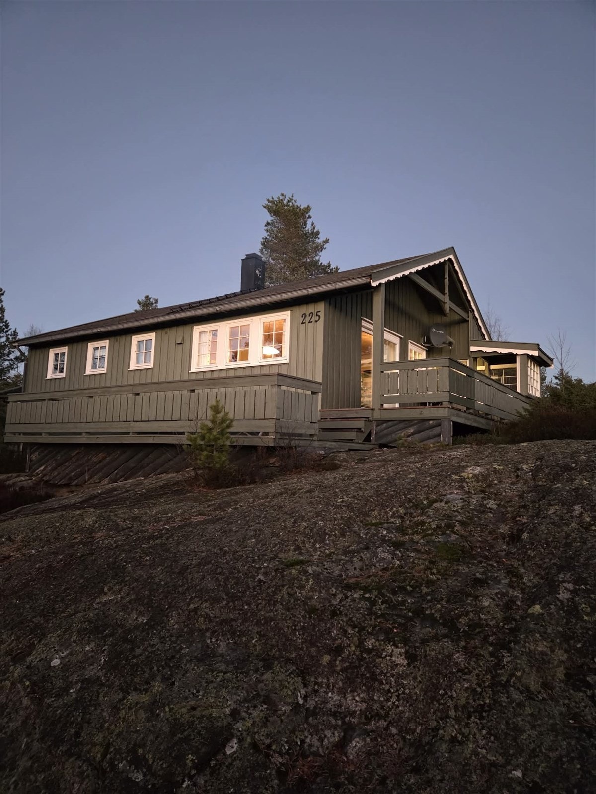 Selgers bilde. Galleribilde