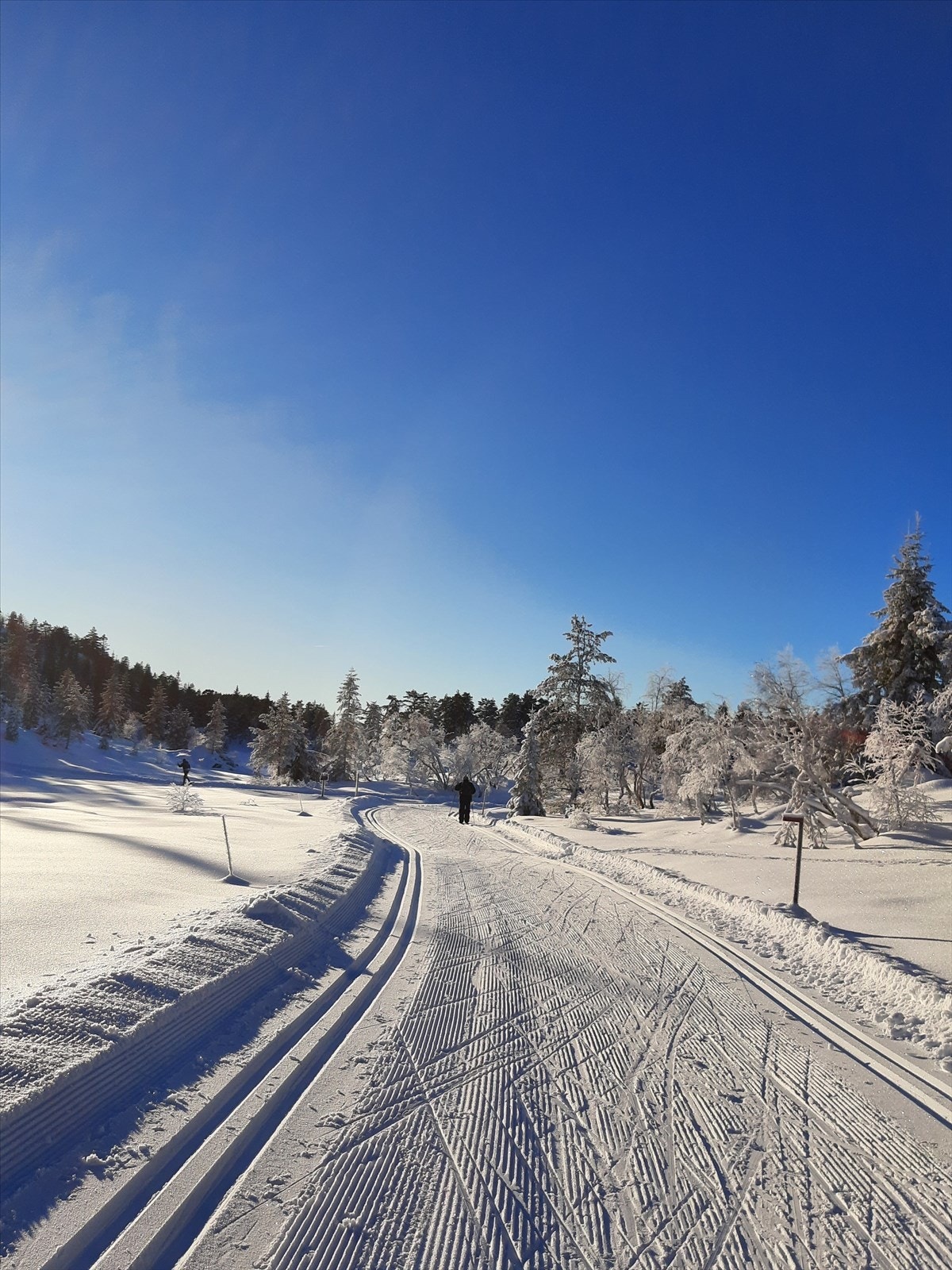 Selger bilde. Galleribilde