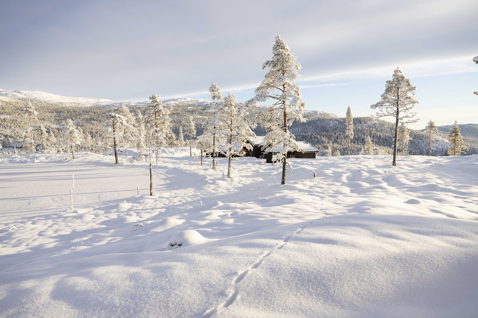 Vinterlandskap Galleribilde