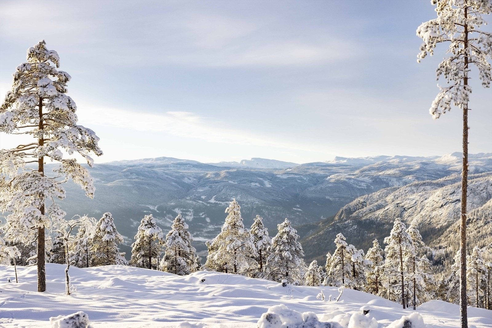 Utsikt fra Sprenåsen Galleribilde