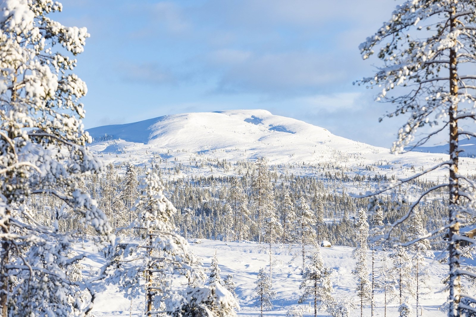 Utsikt mot Kristnatten fra Sprenåsen Galleribilde