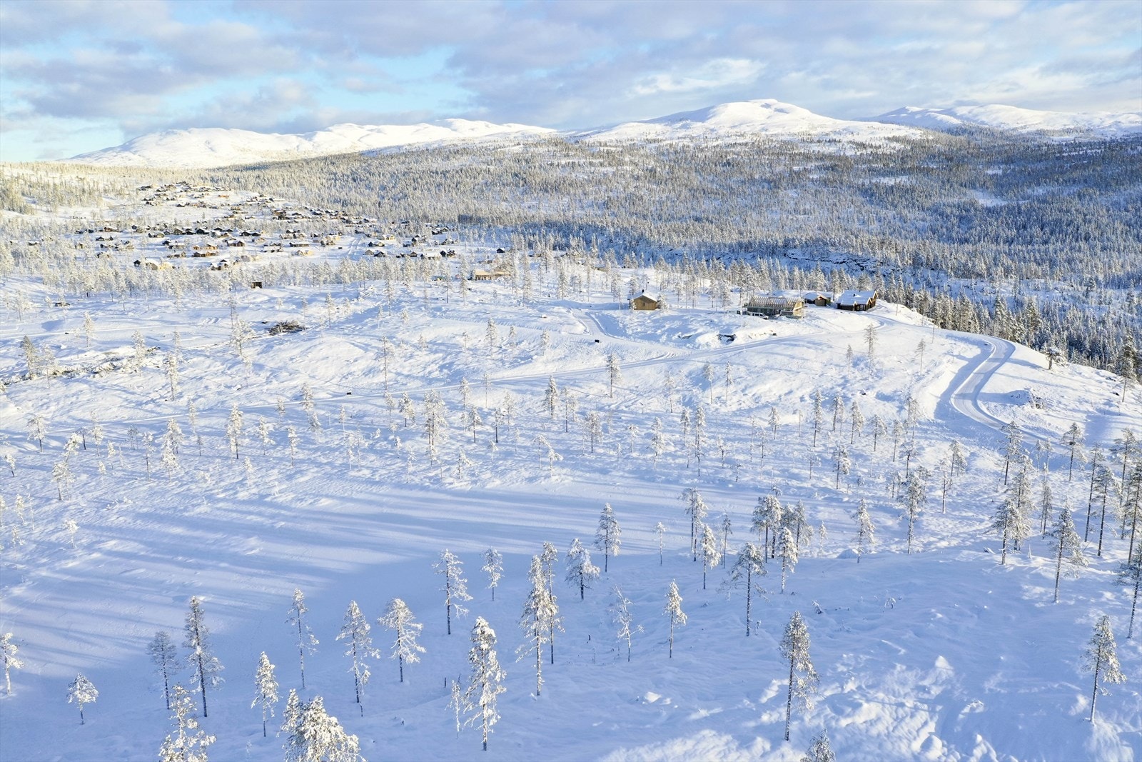 Vinterlandskap Galleribilde