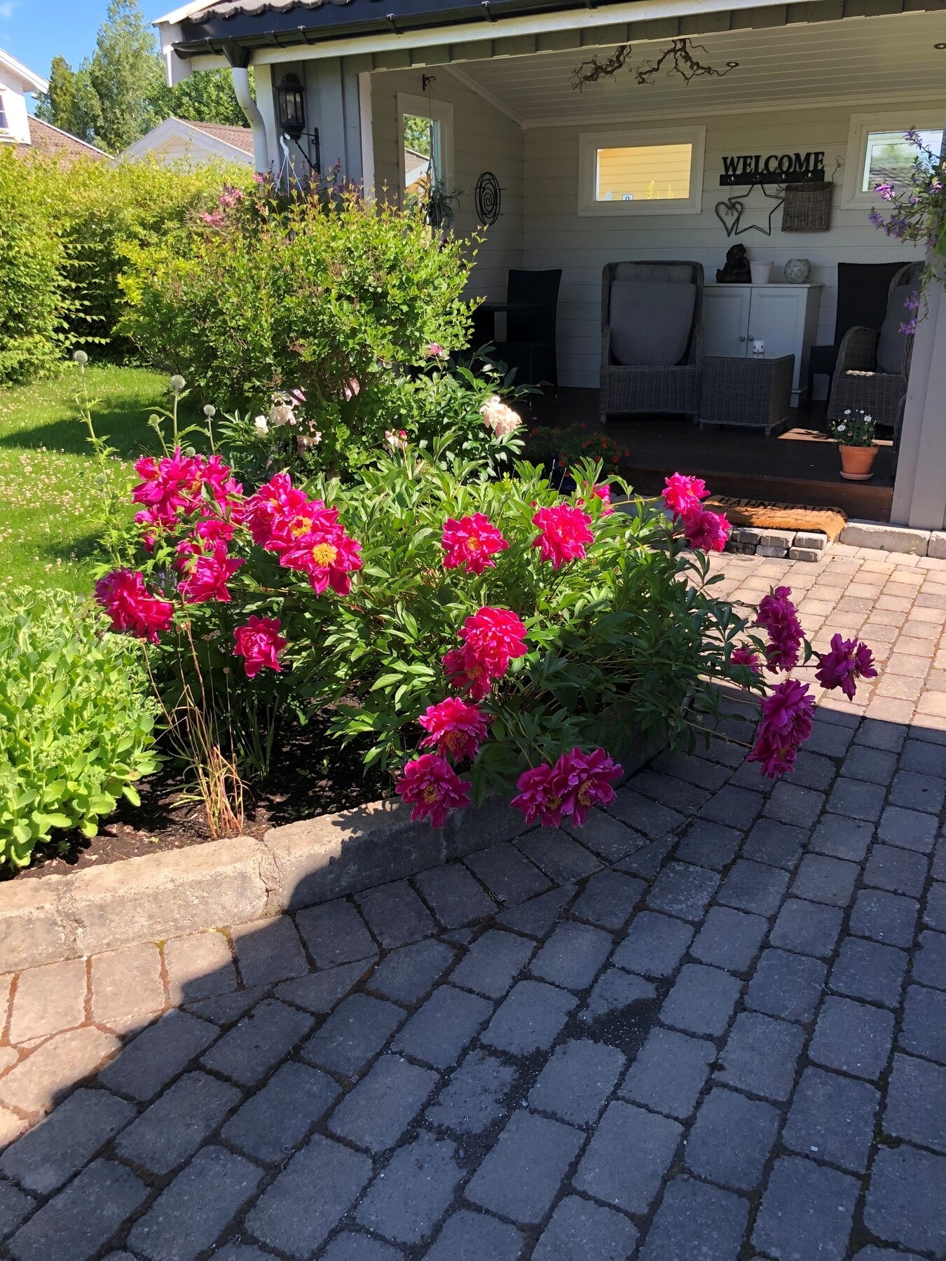 Bilde fra selger Galleribilde