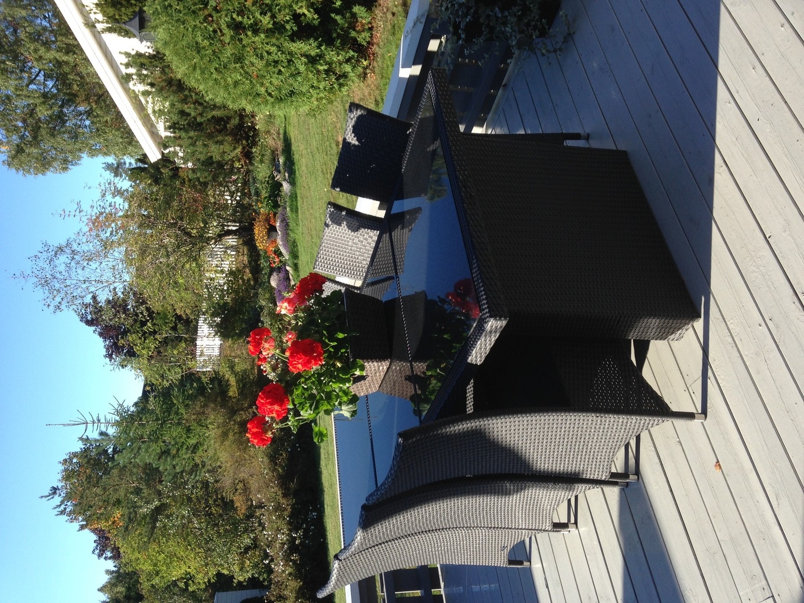 Bilde fra selger Galleribilde