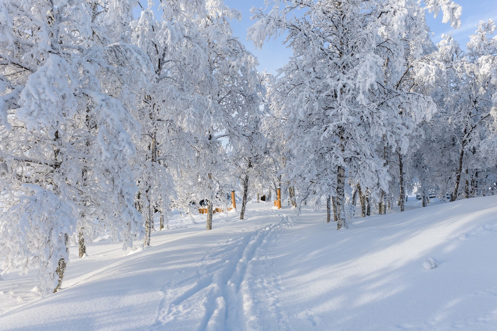 Begynn skituren rett utenfor hyttedøren! Galleribilde