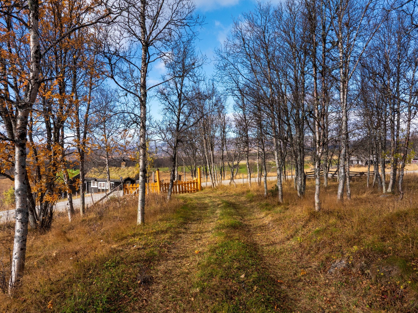 Idyllisk adkomst inn på eiendommen! Galleribilde