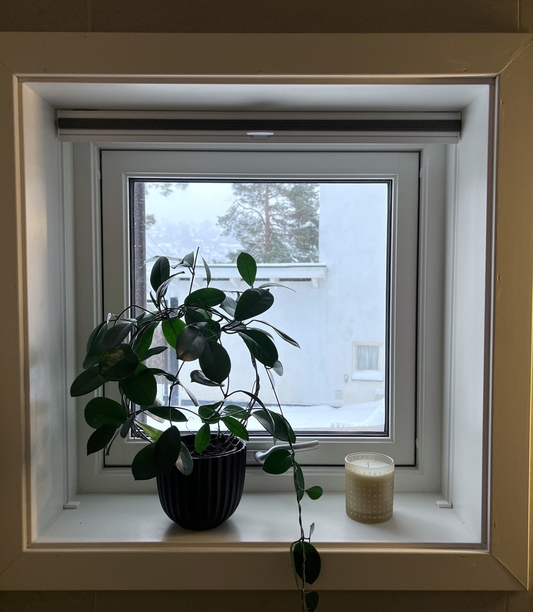 Badevinduet Galleribilde