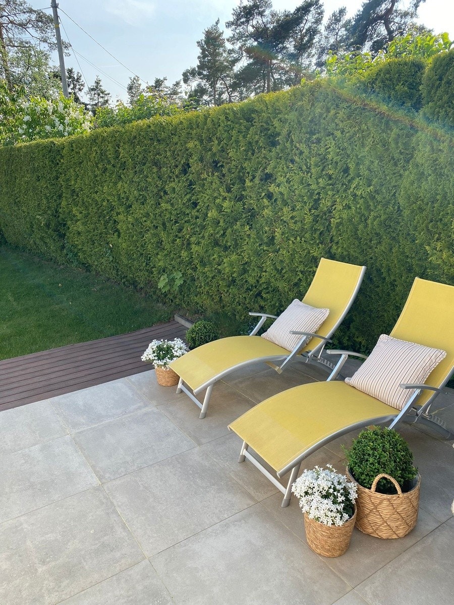 Deilig usjenert hage Galleribilde