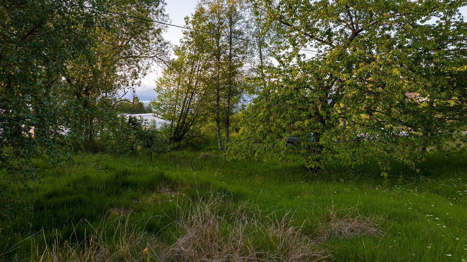 På tomten Galleribilde