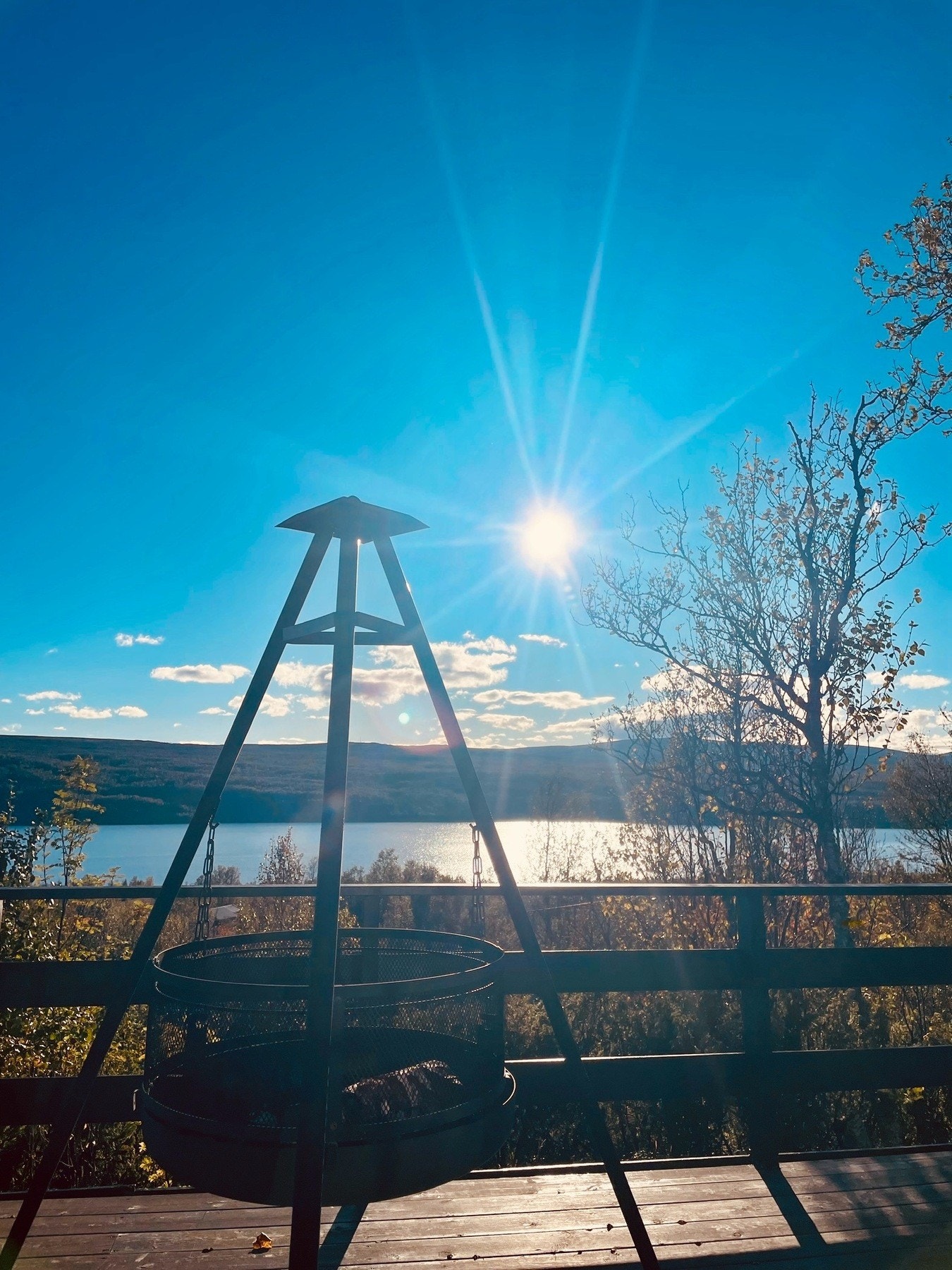 Selgers private sommerbilde. Galleribilde