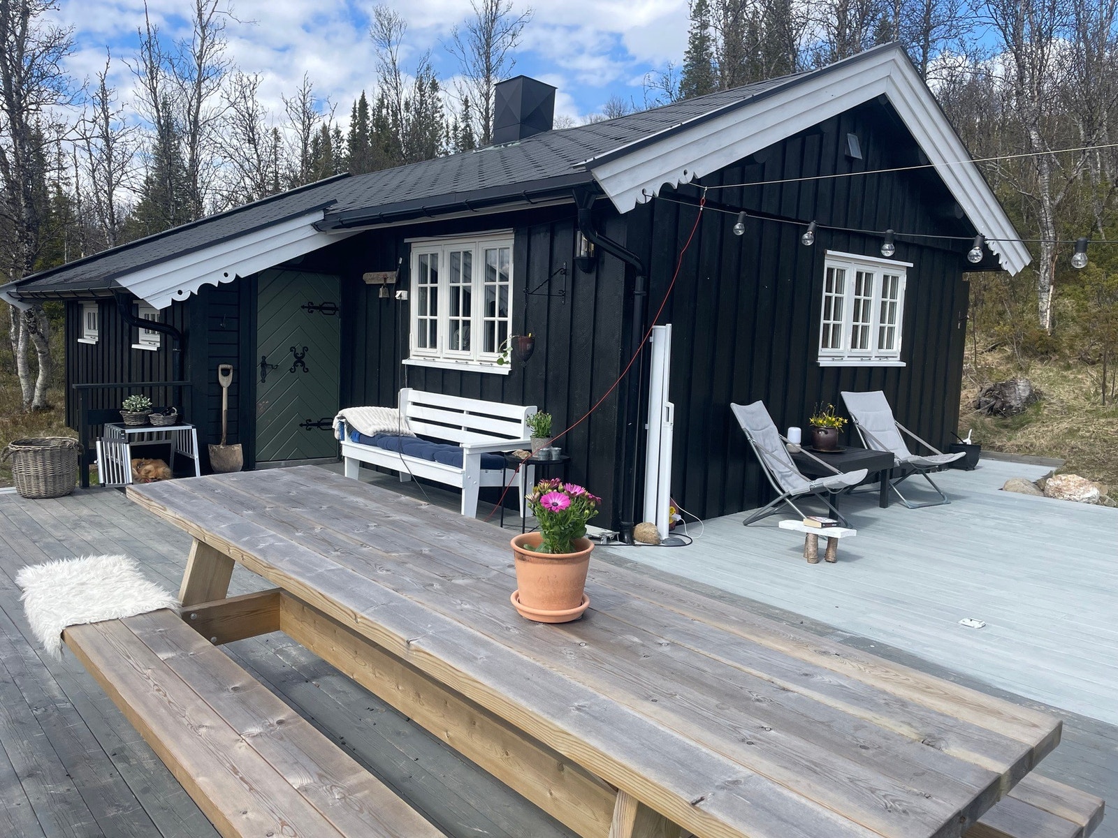 Selgers private sommerbilde. Galleribilde