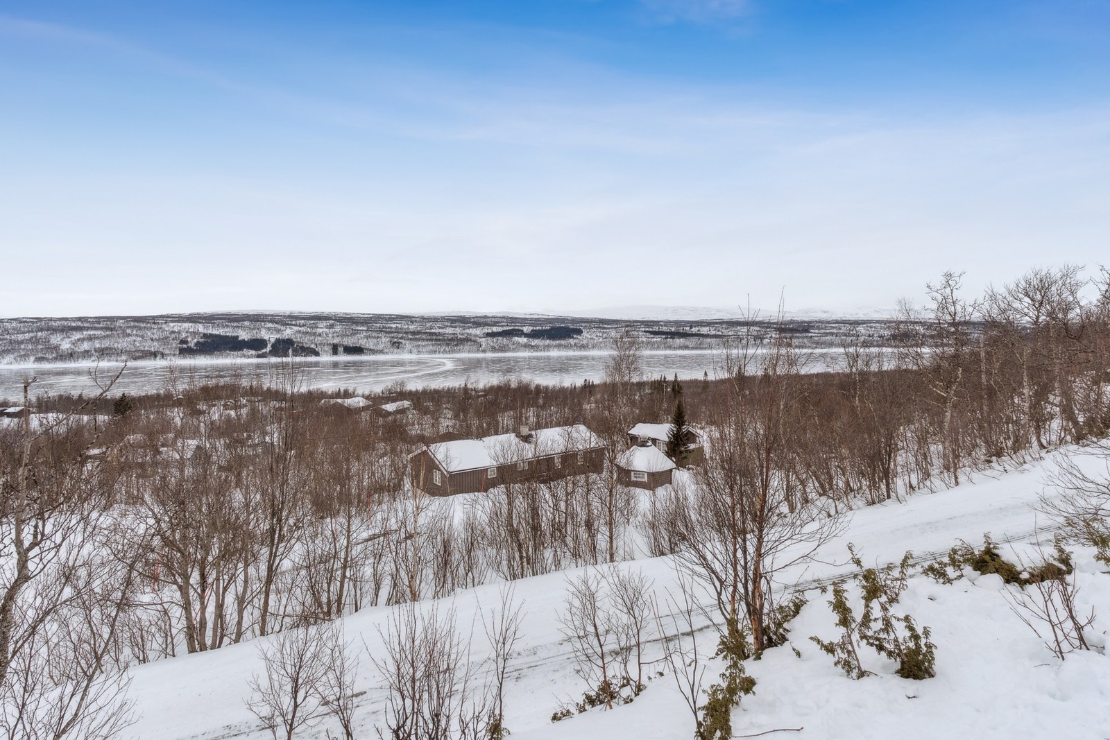 Velkommen til visning! Galleribilde
