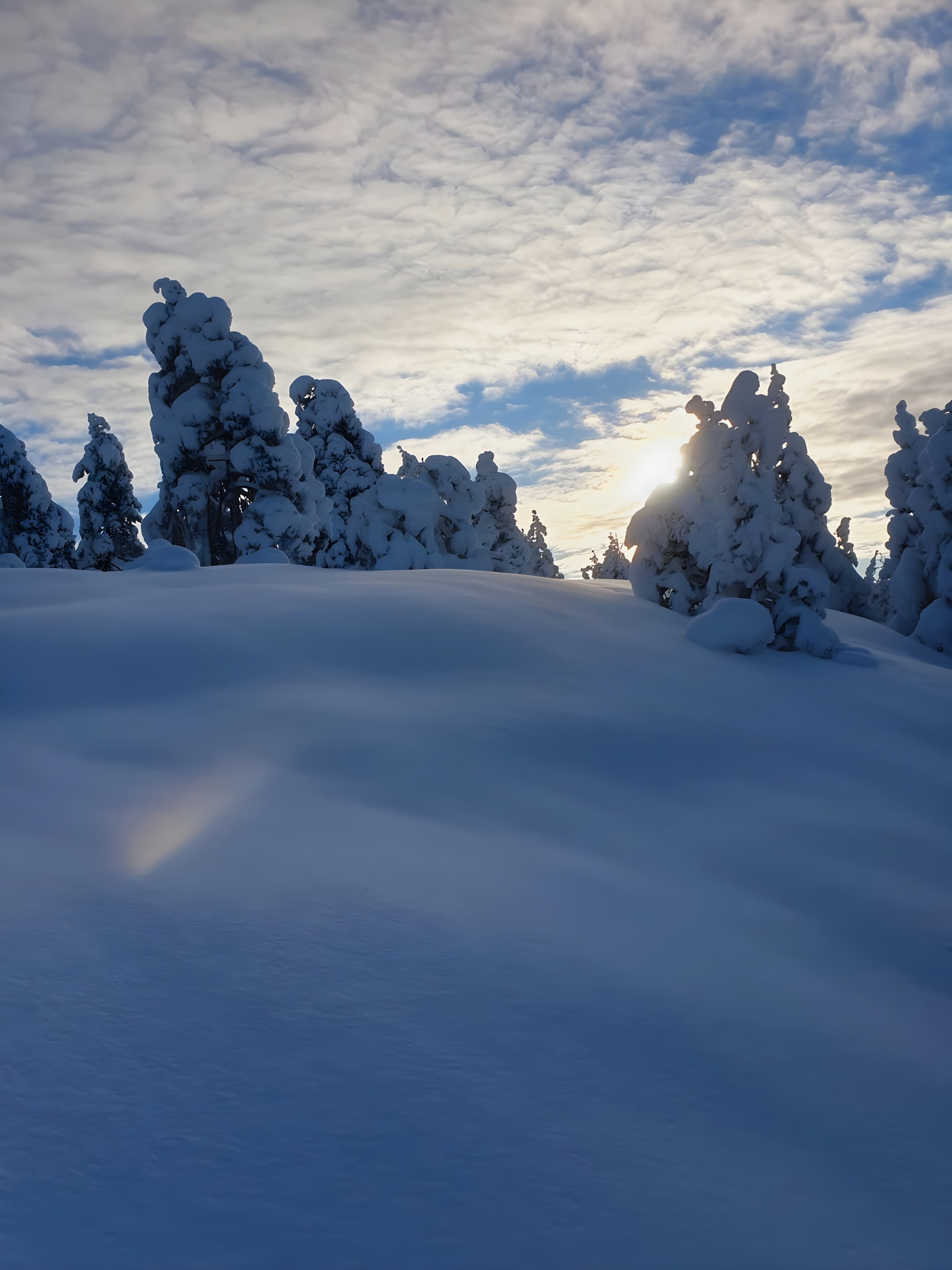 Flott terreng på vei mot Nordbykollen. Galleribilde