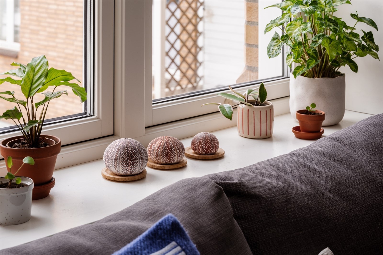 Brede vinduskarmer gir ekstra plass til planter og pyntegjenstander. Galleribilde