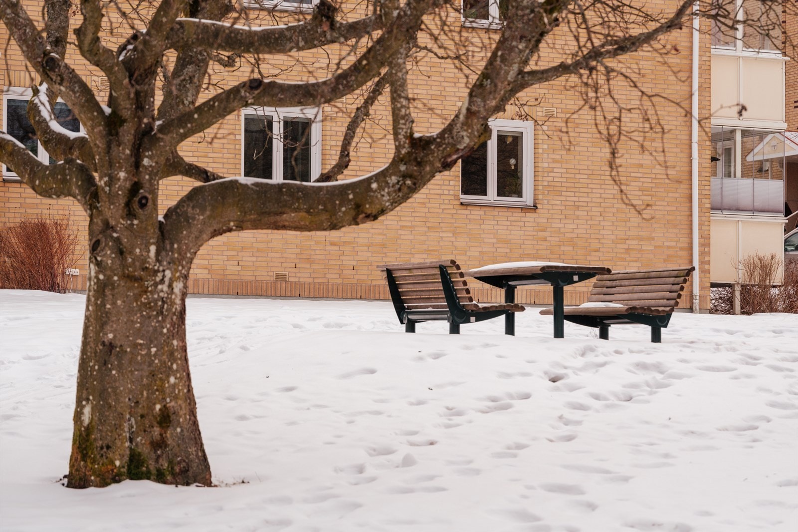 Borettslaget har opparbeidede fellesarealer med plen og sittegrupper. Galleribilde