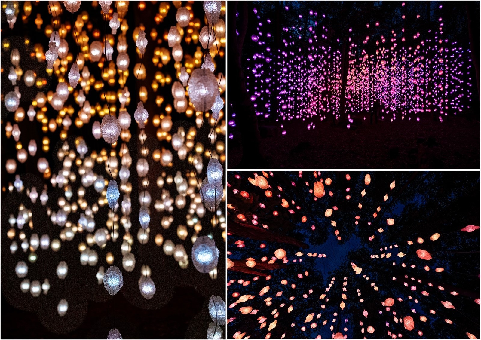 Ekebergparken Galleribilde