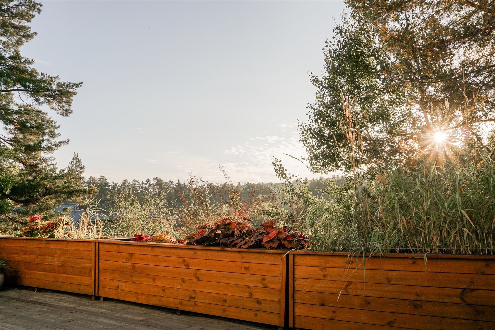 Uteplassene er pent opparbeidet med beplantning og blomsterkasser. Galleribilde