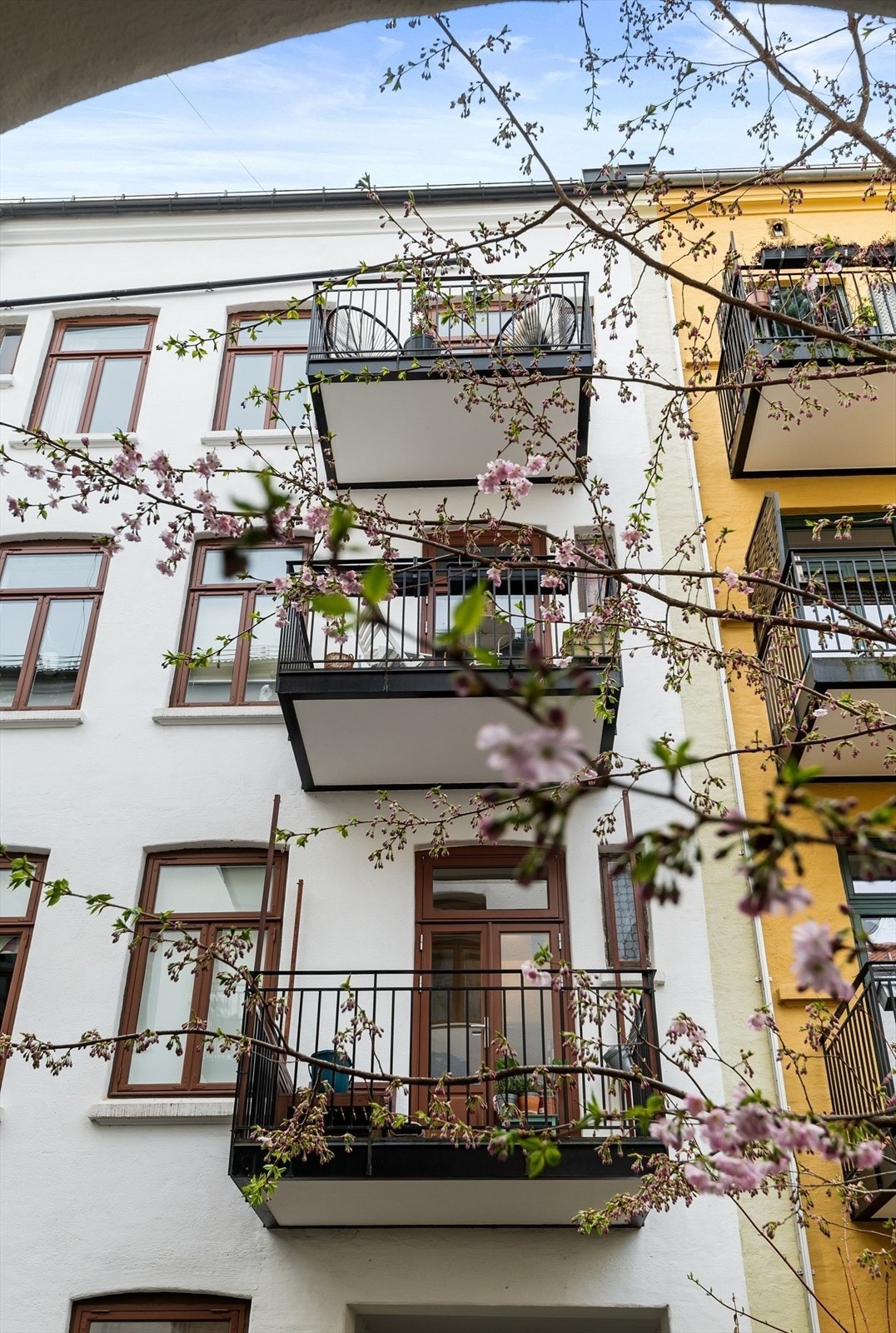 Bilde fra bakgård på våren. Galleribilde