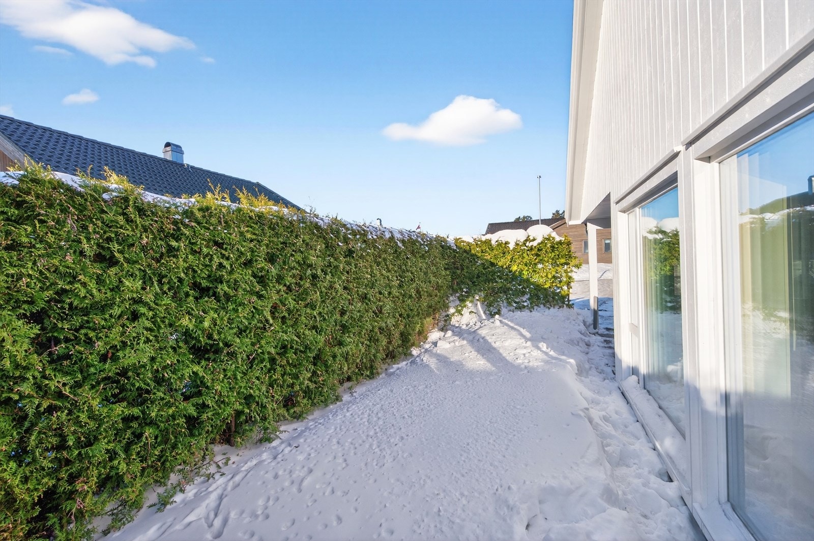 Skjermet hagedel Galleribilde