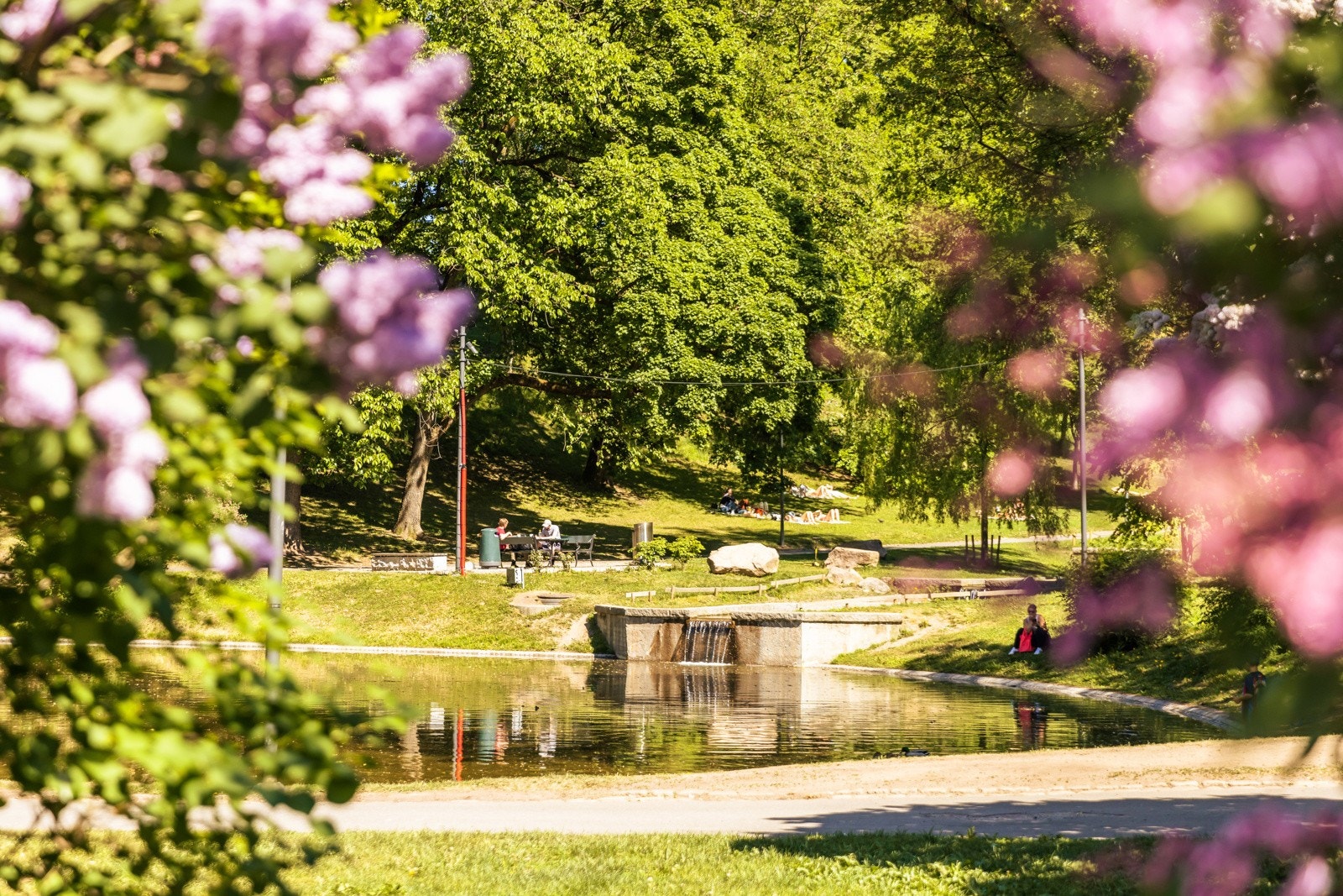 St. Hanshaugen Galleribilde