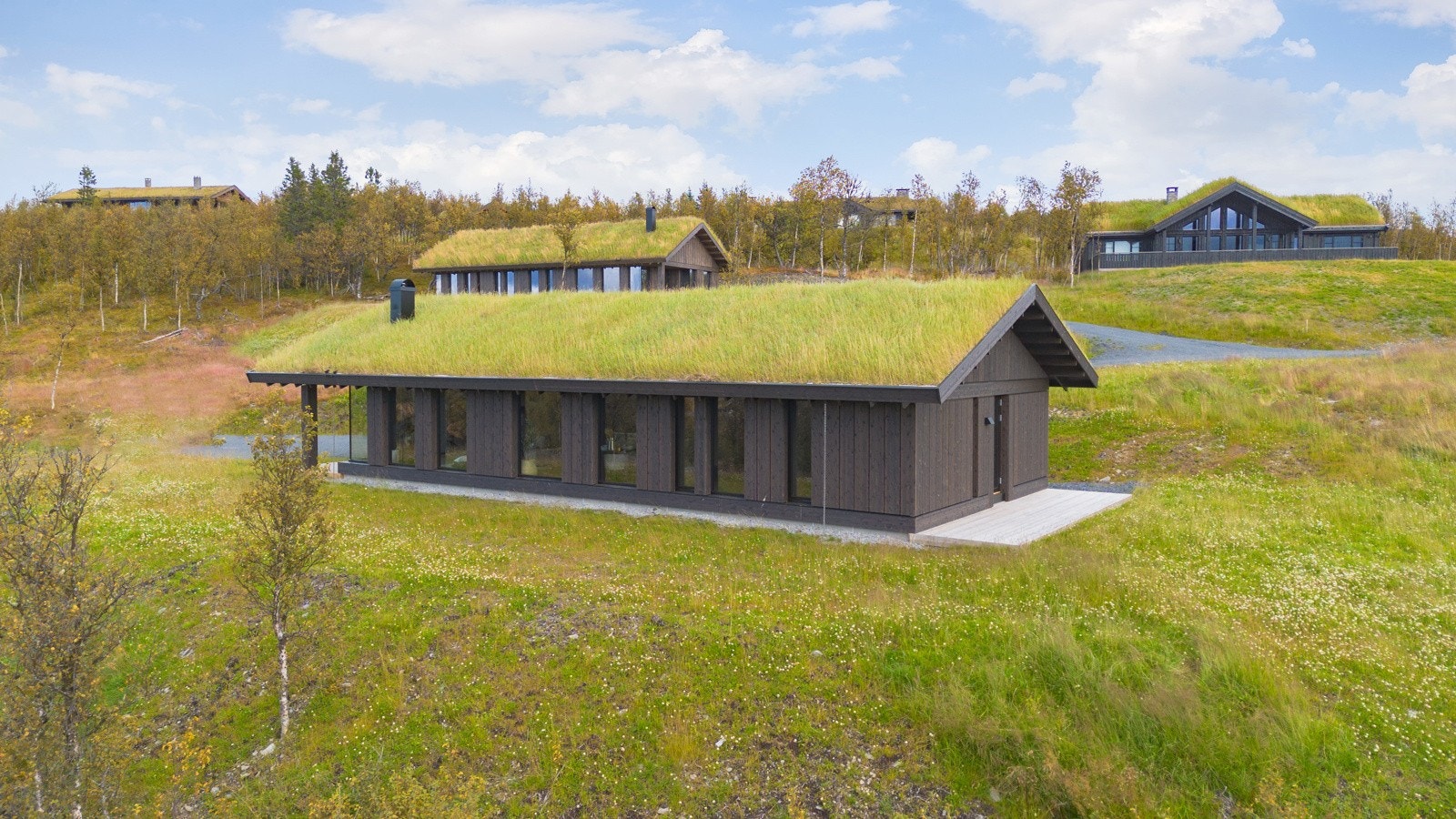 Velkommen til visning Galleribilde