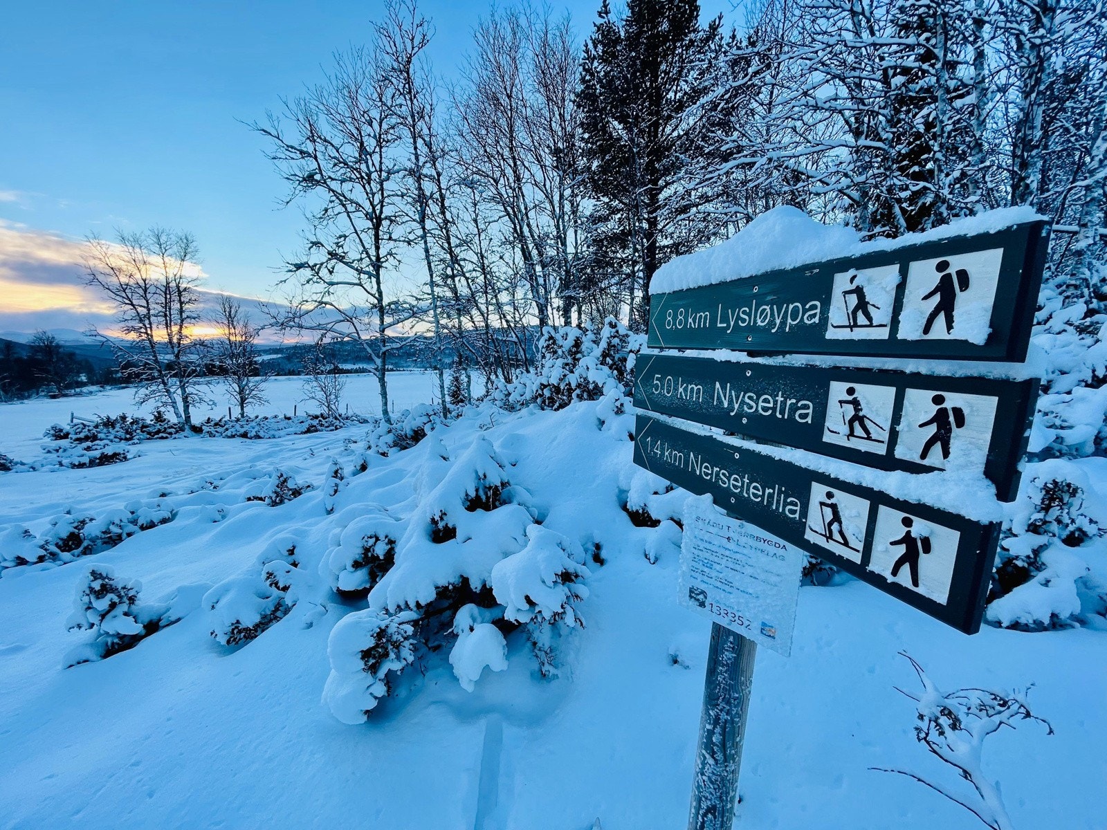 På vinterstid finner du langrennsløyper under 200 meter fra eiendommen. Galleribilde