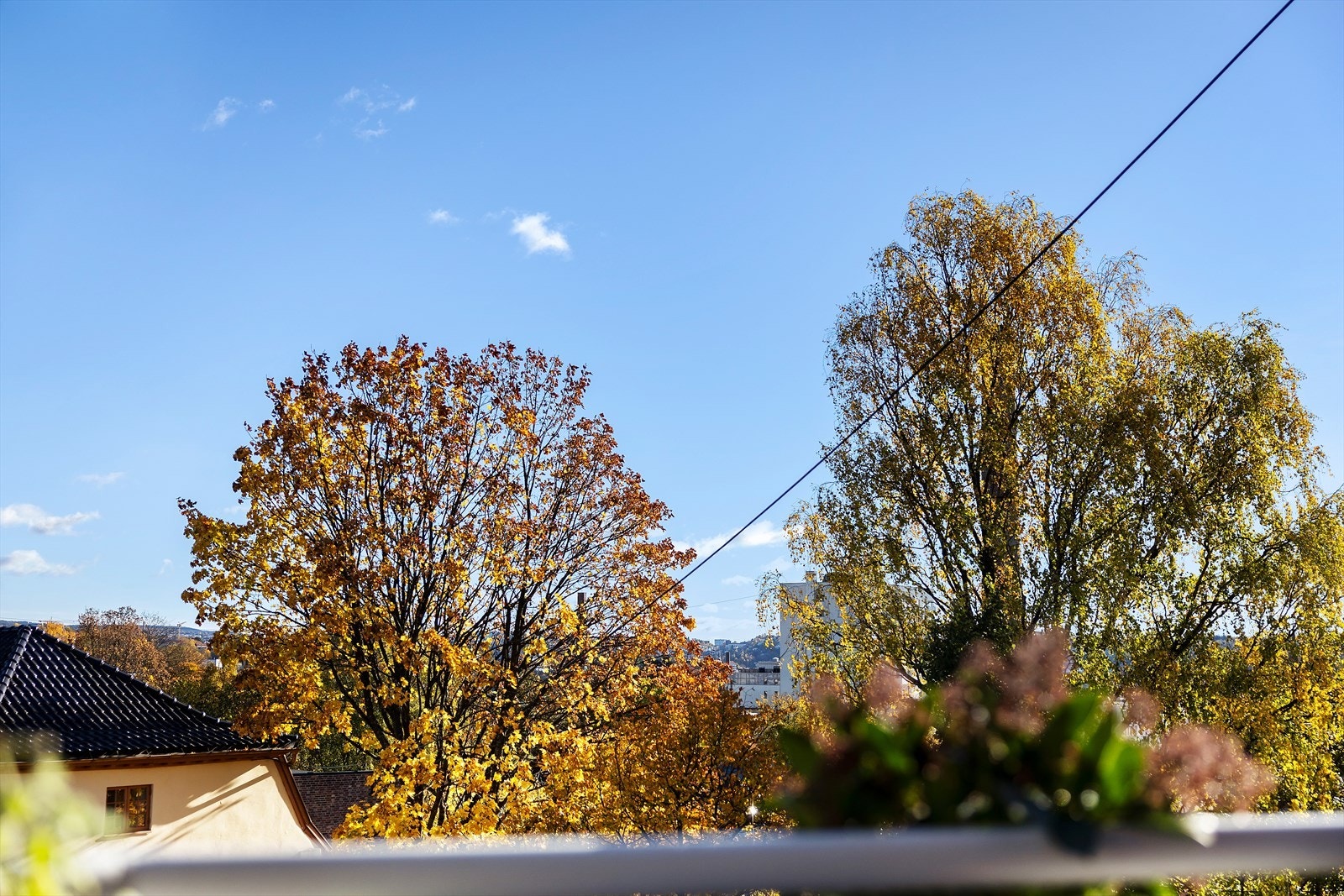 Velkommen på visning! Galleribilde