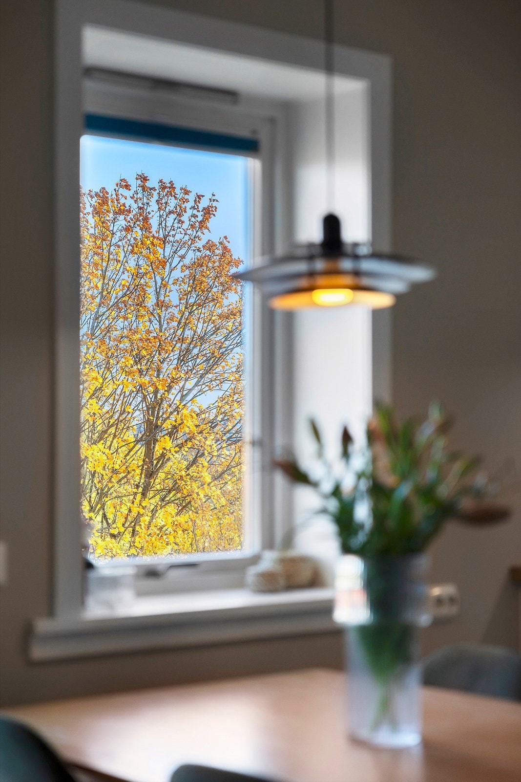 Hyggelig og frodig utsyn Galleribilde