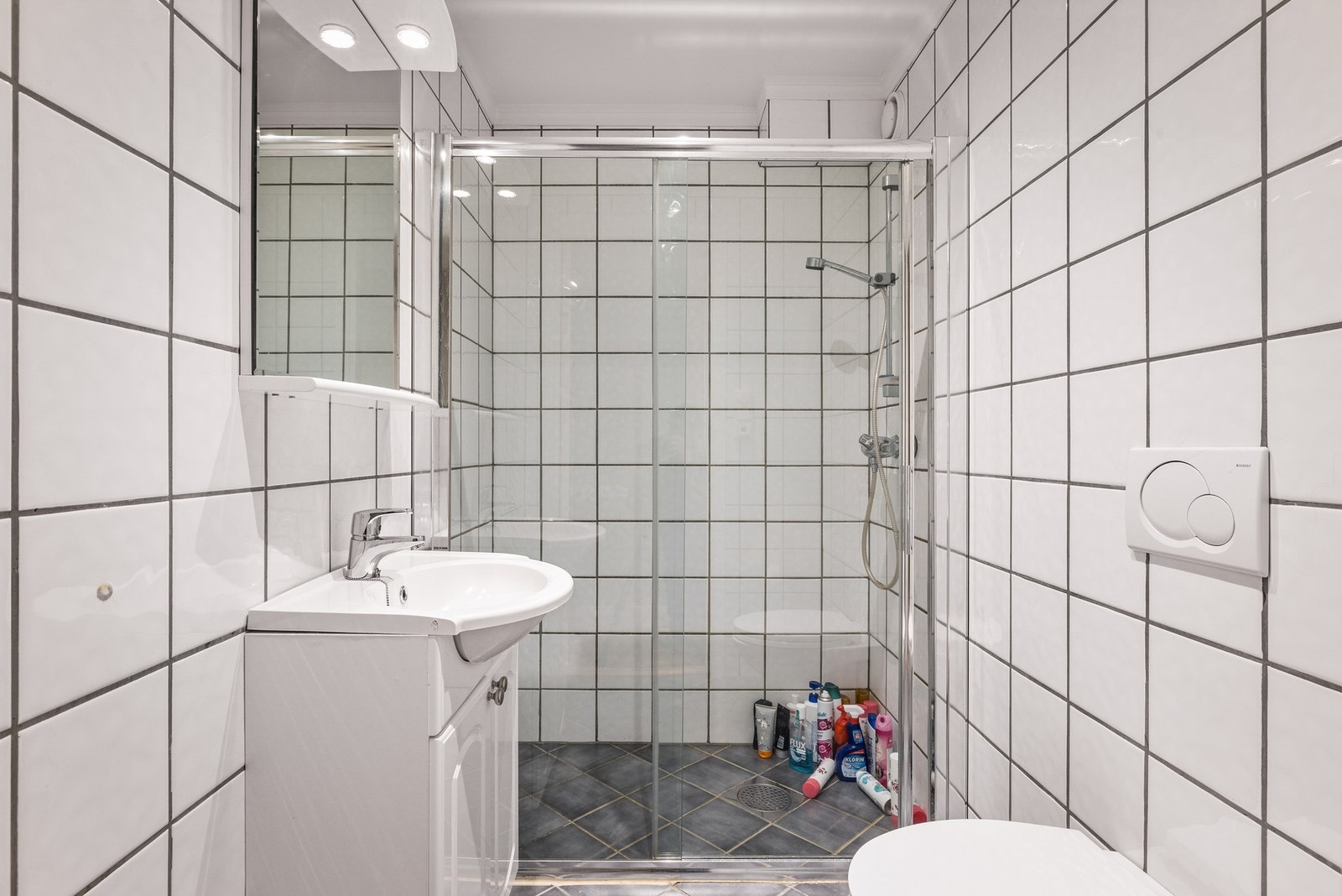 Bad i utleiedel med dusj og toalett Galleribilde