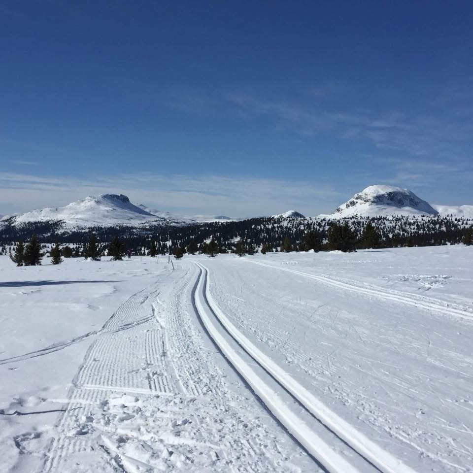 Flotte skiforhold i nærområdet. Privat bilde. Galleribilde