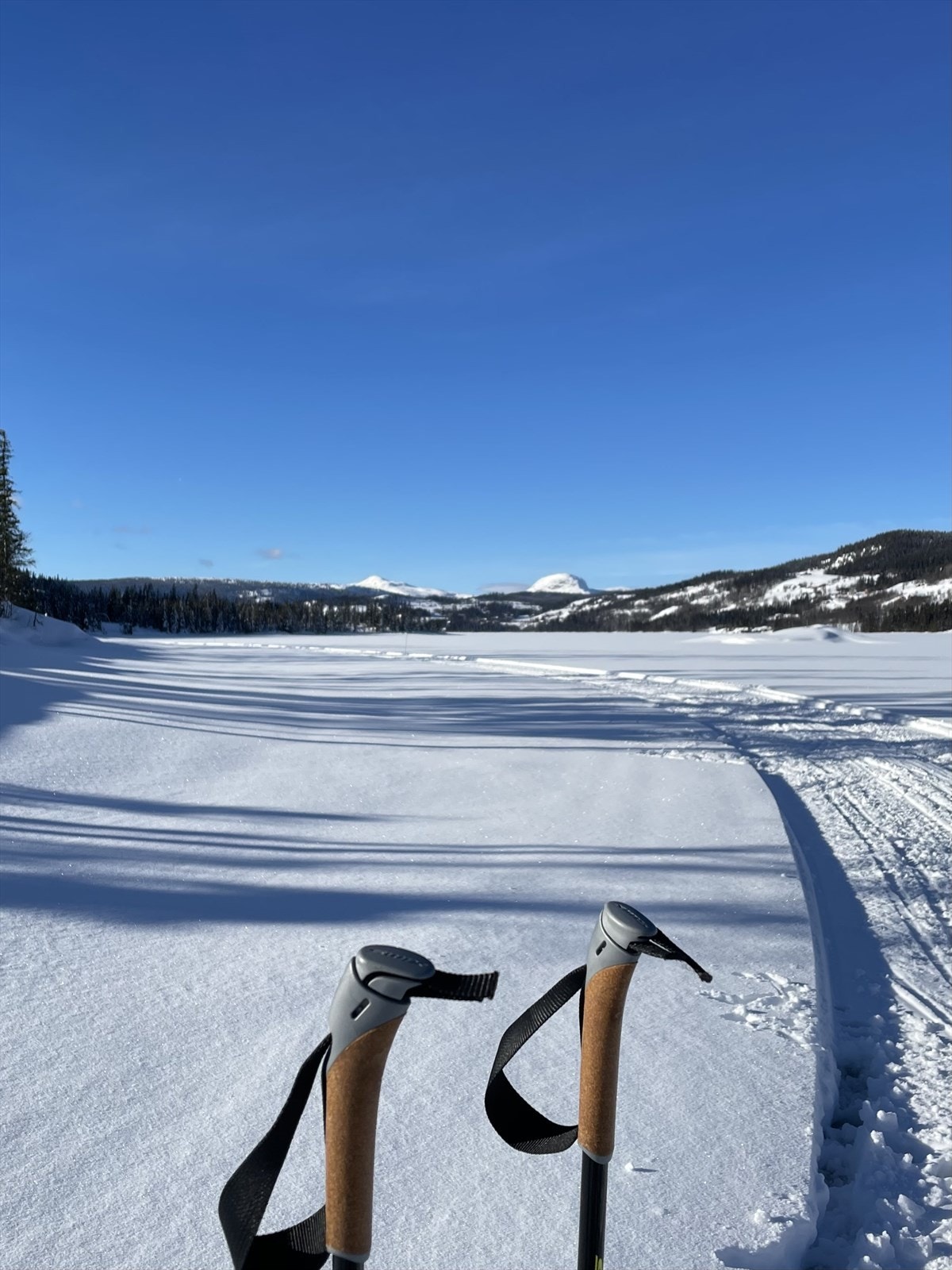 Flotte oppkjørte skiløyper i nærområdet. Meglers private bilde. Galleribilde