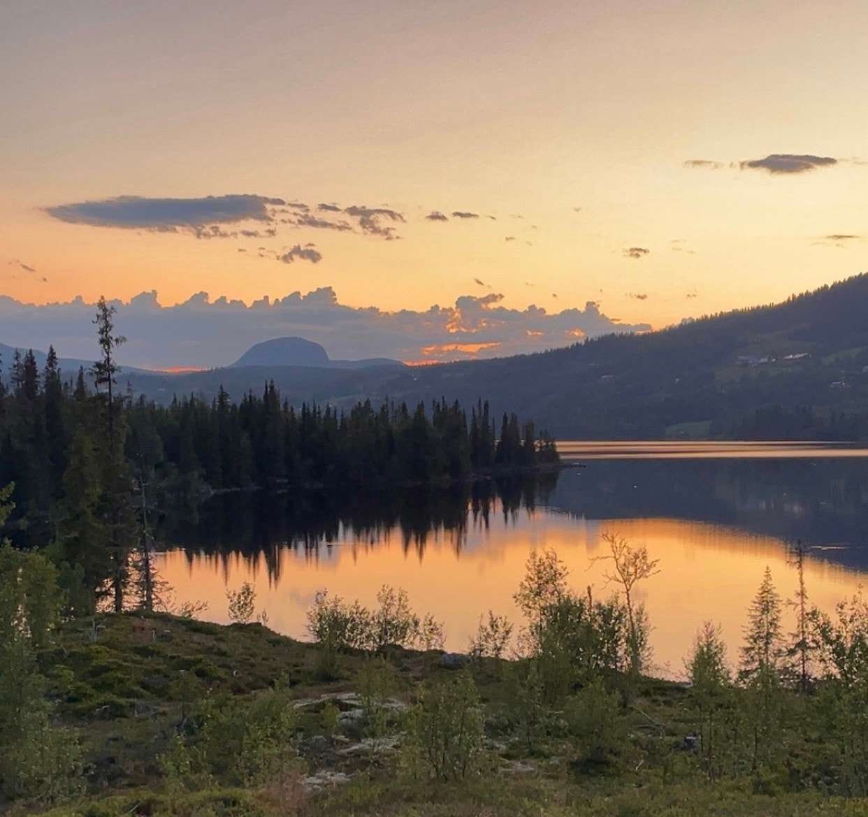 Flott kveld ved Steinsetfjorden. Meglers private bilde. Galleribilde